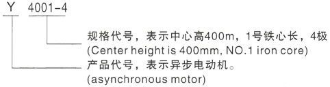 西安泰富西玛Y系列(H355-1000)高压JR1410-6三相异步电机型号说明