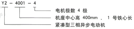 YR系列(H355-1000)高压JR1410-6三相异步电机西安西玛电机型号说明